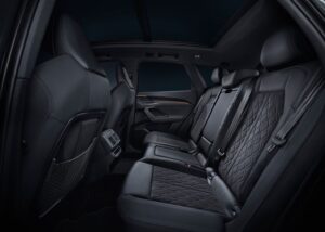 listing_main_2025_Audi_Q5_rear_seats (1)